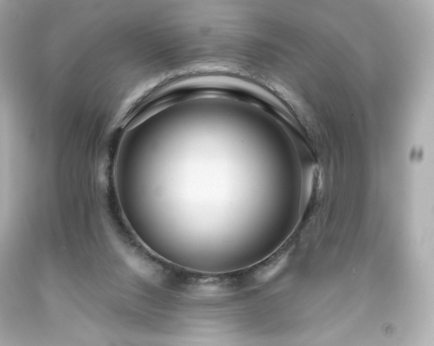 X0000091930064200709121607