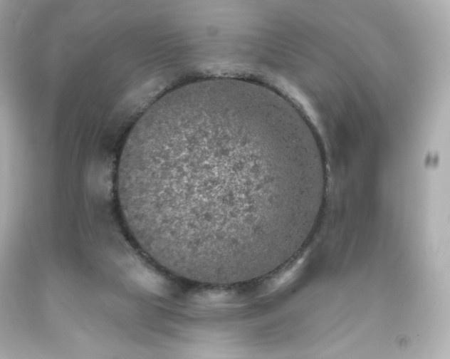 X0000091930065200709121607