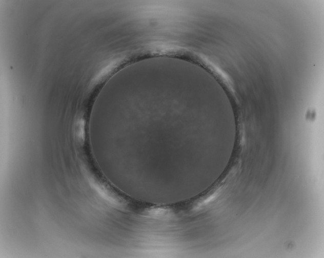 X0000091930067200709121607