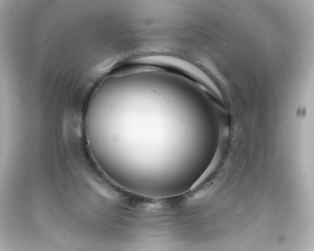 X0000091930068200709121607