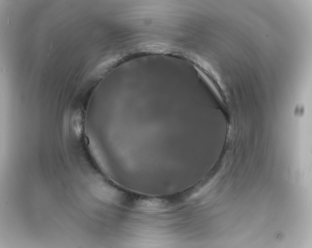 X0000091930069200709121607