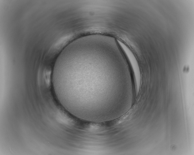X0000091930070200709121607