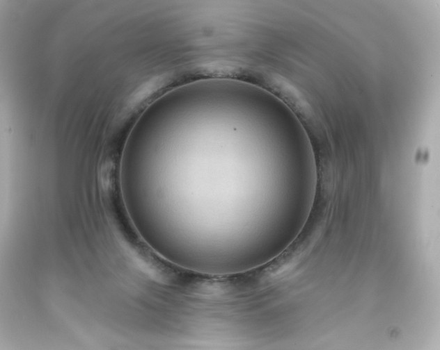 X0000091930071200709121607