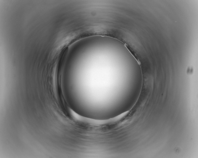 X0000091930072200709121607
