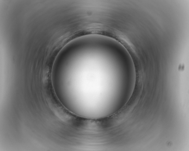 X0000091930073200709121607