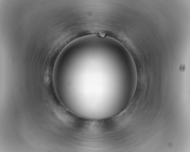 X0000091930074200709121607