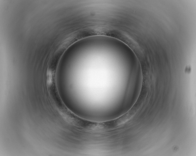 X0000091930075200709121607