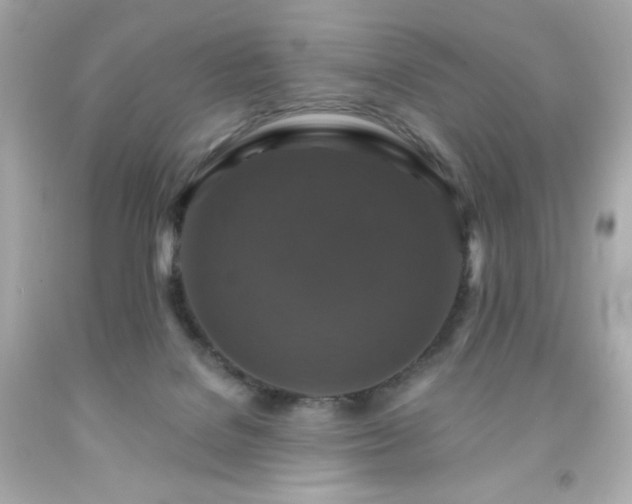 X0000091930076200709121607