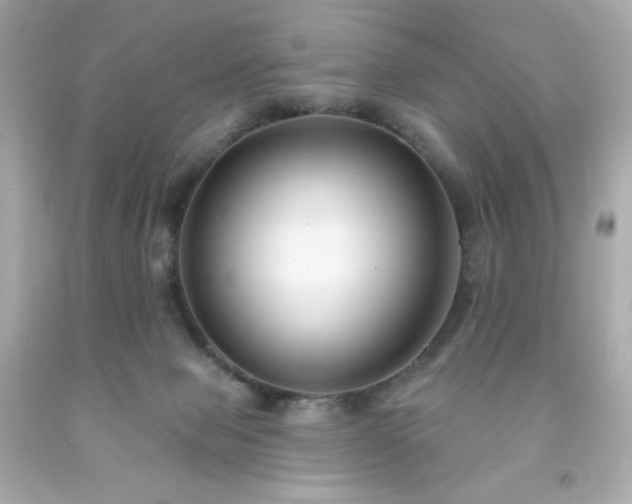 X0000091930077200709121607