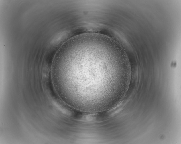 X0000091930078200709121607