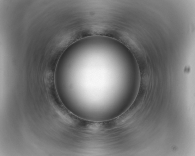 X0000091930079200709121607