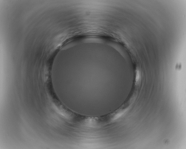 X0000091930080200709121607