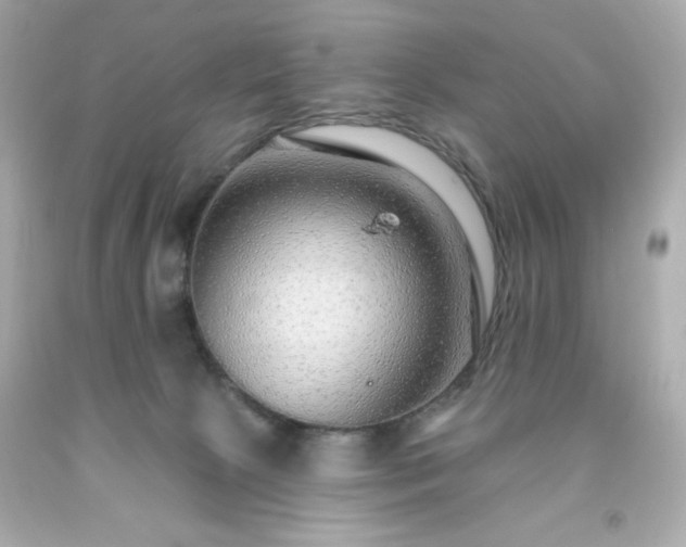 X0000091930081200709121607