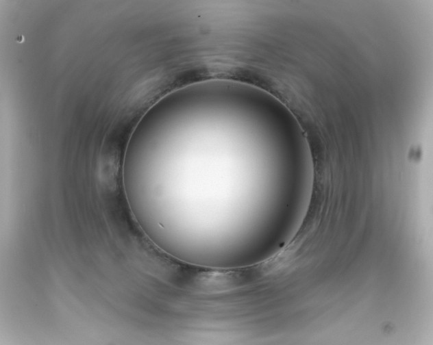 X0000091930082200709121607