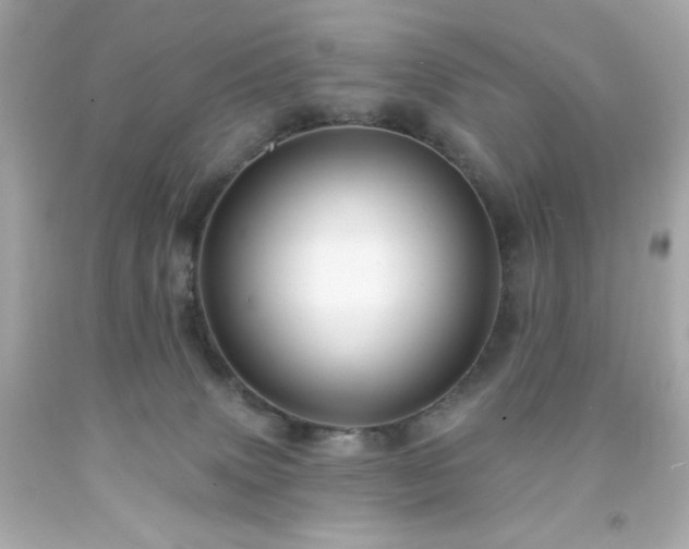 X0000091930083200709121607