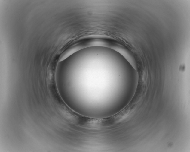 X0000091930084200709121607