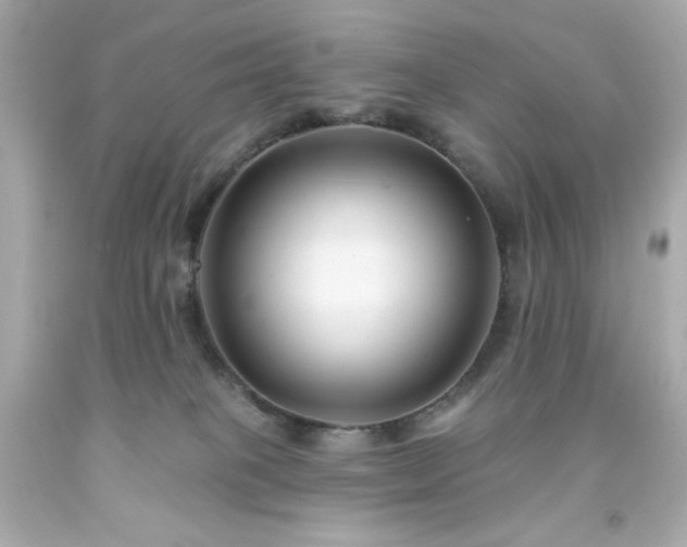 X0000091930085200709121607