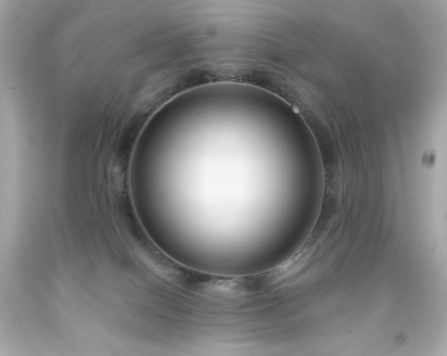 X0000091930086200709121607