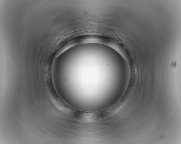 X0000091930088200709121607