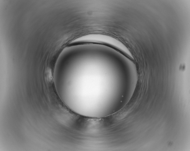X0000091930089200709121607