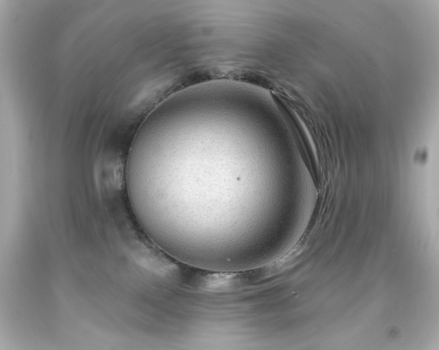 X0000091930090200709121607