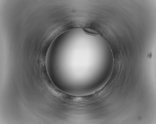 X0000091930091200709121607
