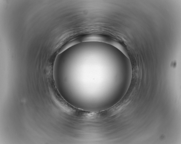 X0000091930092200709121607