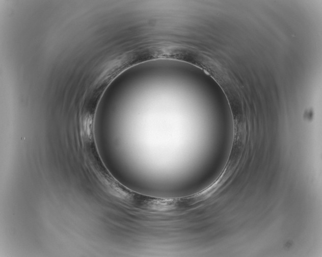 X0000091930094200709121607