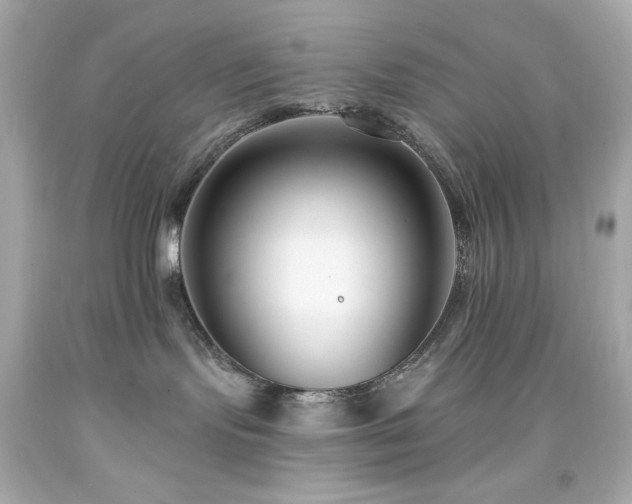 X0000091930095200709121607