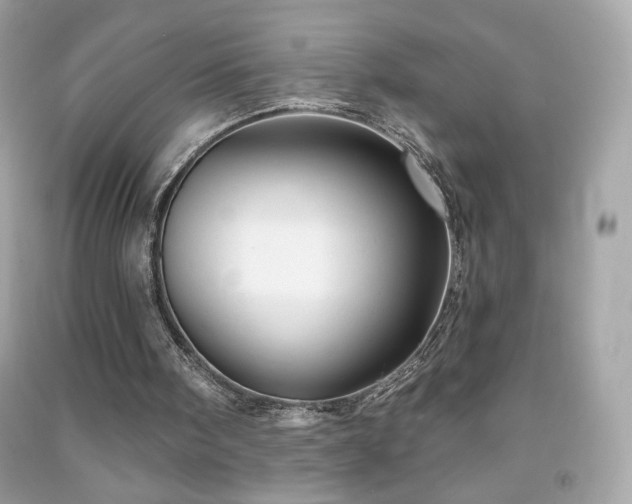 X0000091930098200709121607