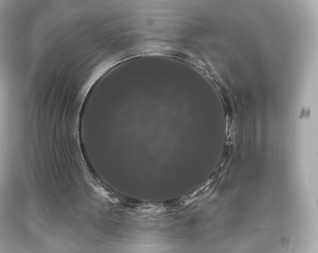 X0000091930099200709121607