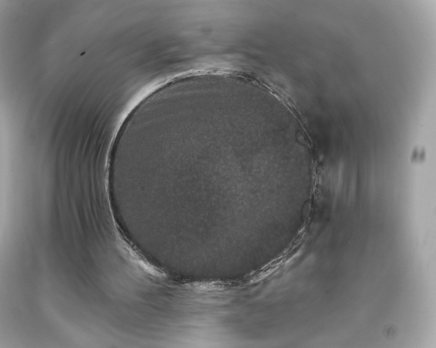 X0000091930100200709121607