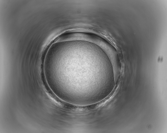 X0000091930101200709121607