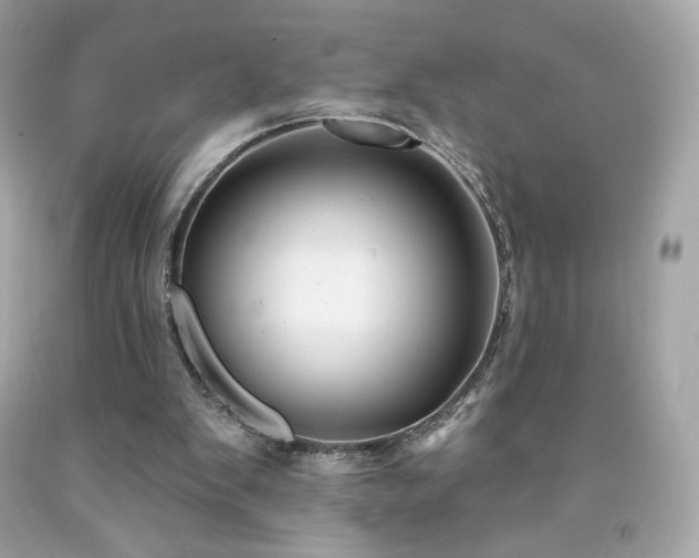 X0000091930103200709121607
