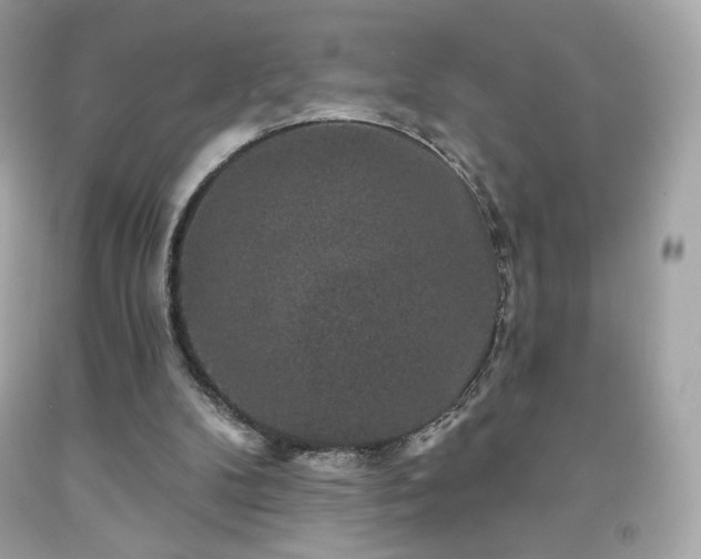 X0000091930104200709121607