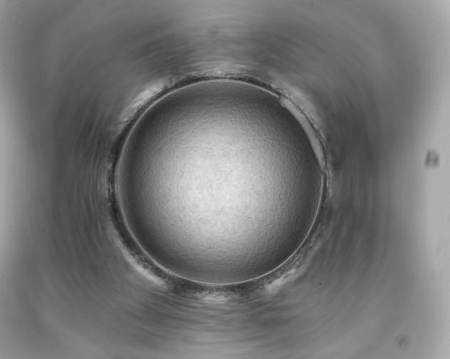 X0000091930105200709121606