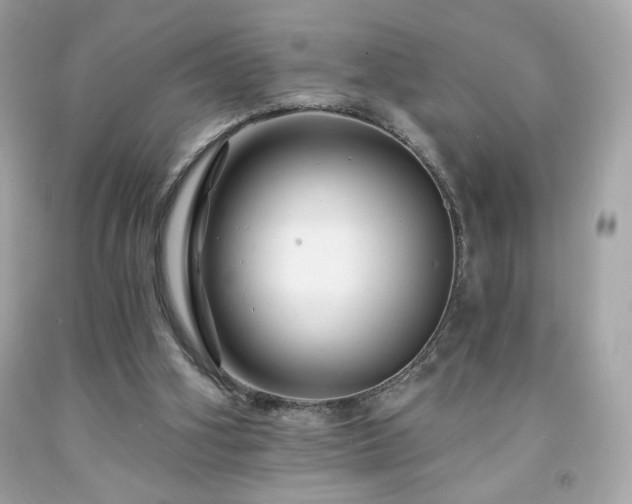 X0000091930106200709121606