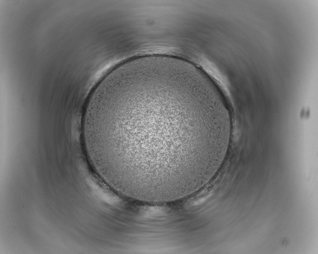 X0000091930107200709121606