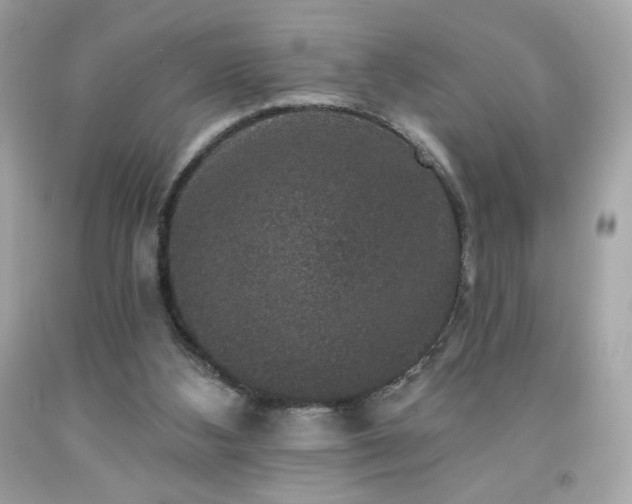 X0000091930108200709121606