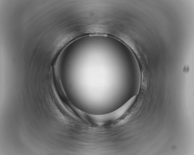 X0000091930109200709121606