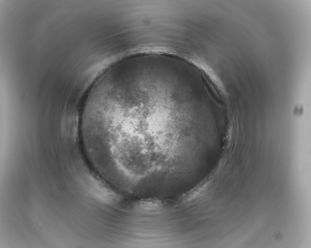 X0000091930110200709121606