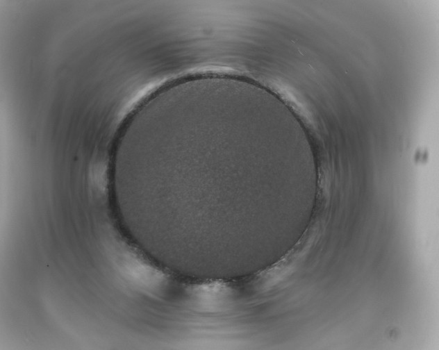 X0000091930112200709121606