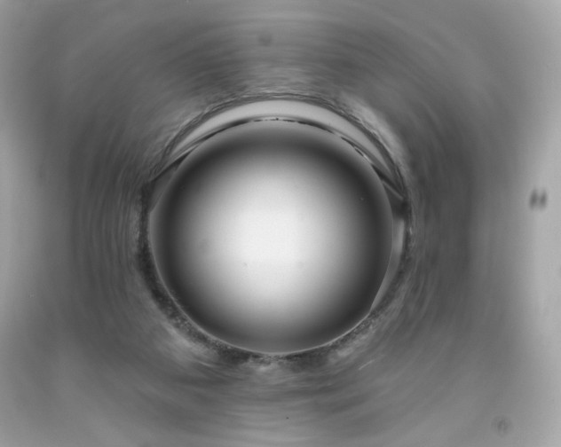 X0000091930113200709121606