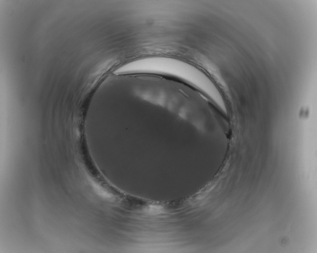 X0000091930114200709121606