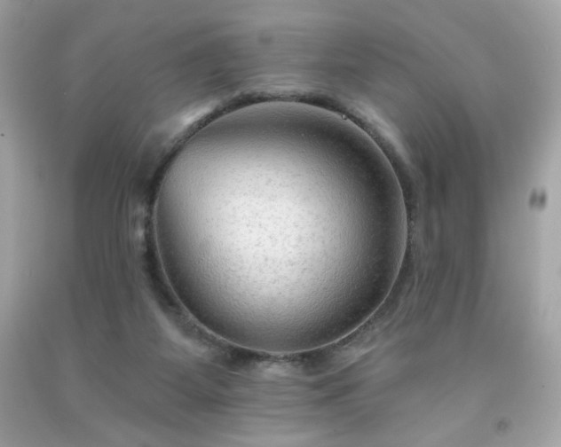X0000091930115200709121606