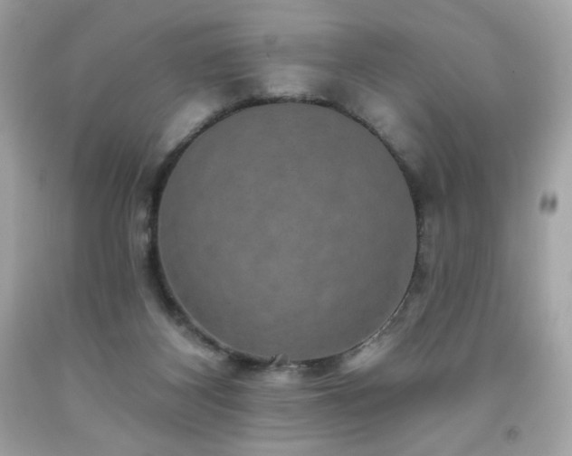 X0000091930116200709121606