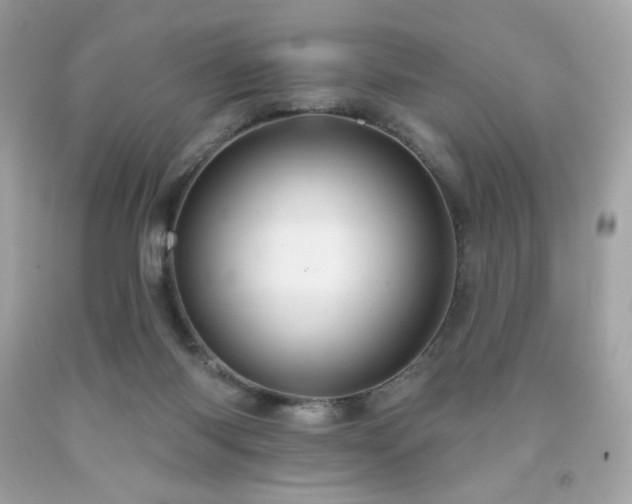 X0000091930118200709121606