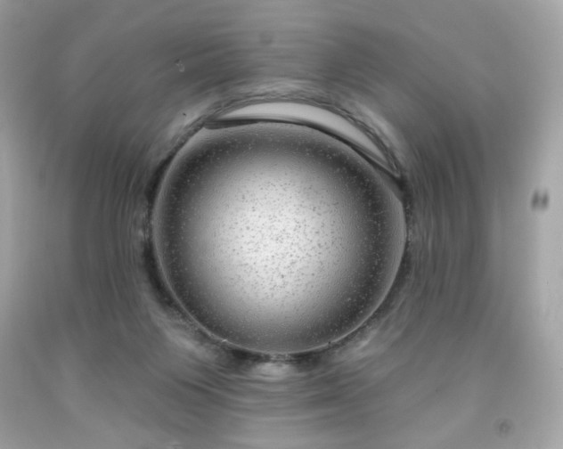 X0000091930119200709121606