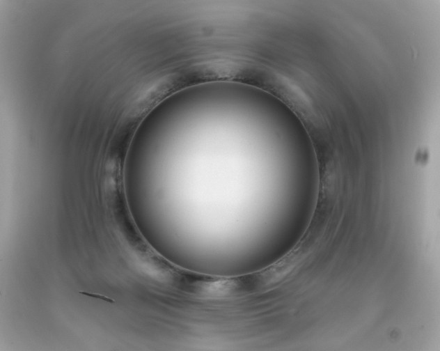 X0000091930122200709121606