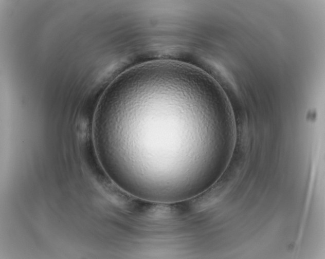 X0000091930123200709121606